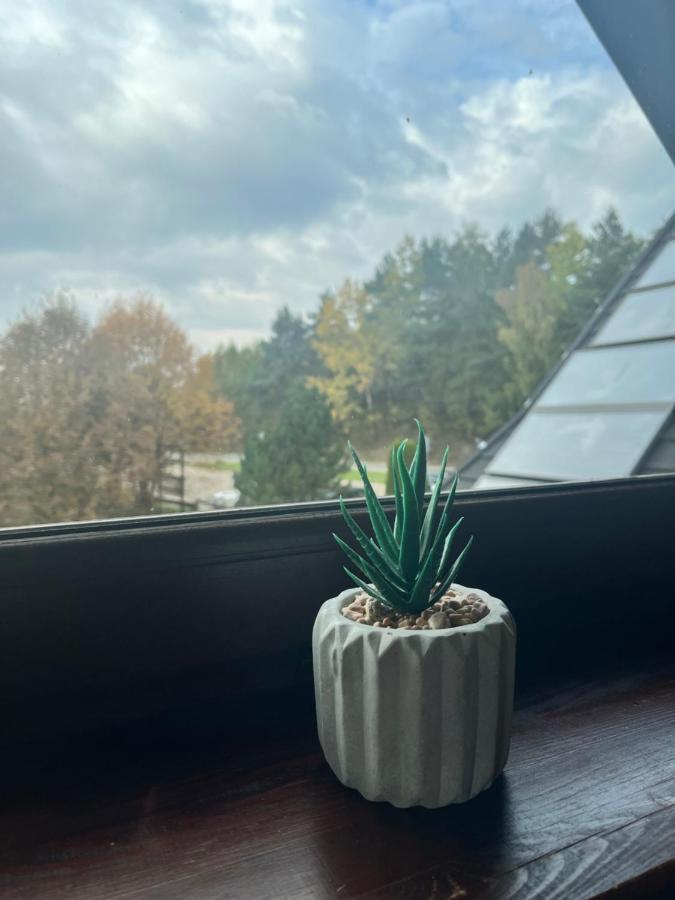 Zajazd Cicha Woda Maniowy Exterior foto